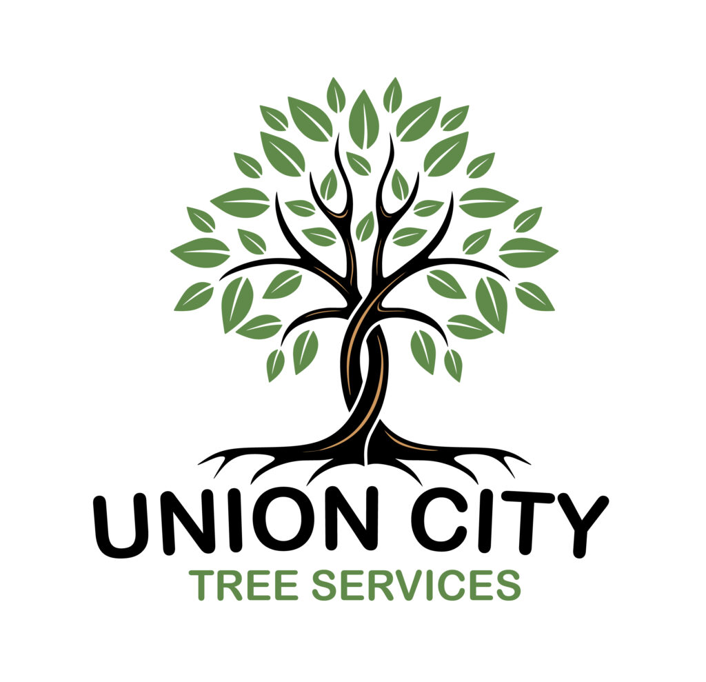 Union city tree logo