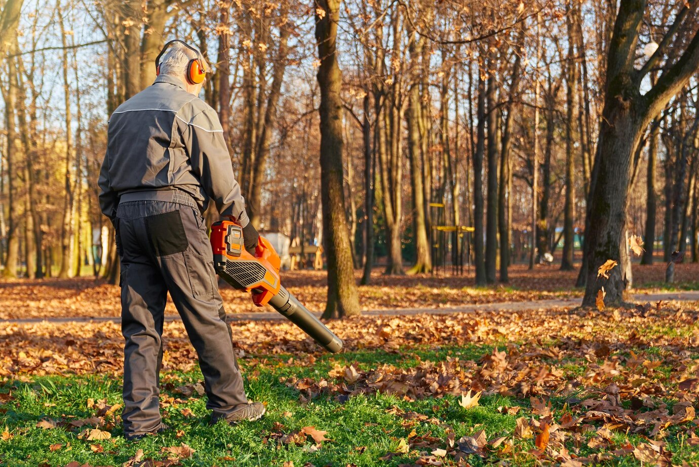 tree-service-male-work