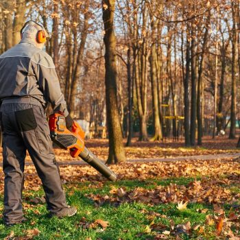 tree-service-male-work